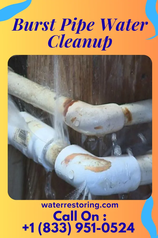 Burst Pipe Water Cleanup in Fairfax, MN