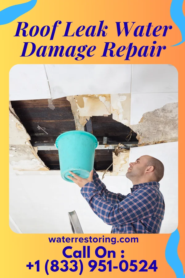 Roof Leak Water Damage Repair in Fairfax, MN