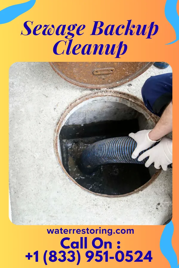 Sewage Backup Cleanup in Fairfax, MN